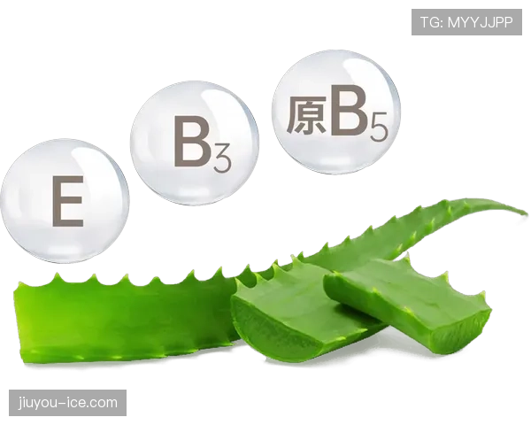 库拉索E组赛程优势分析 库拉索E组赛程优势分析